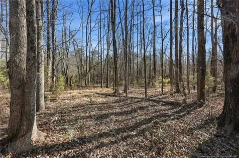 Lot B 1600 Mt. Willing Road Efland NC 27243