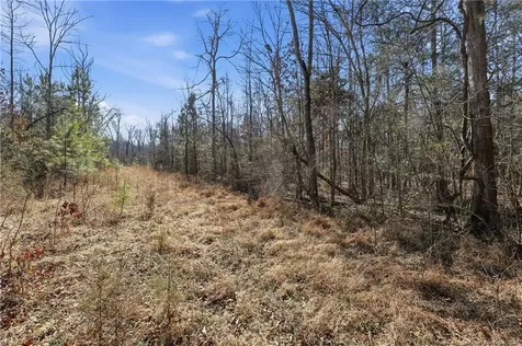 Lot B 1600 Mt. Willing Road Efland NC 27243