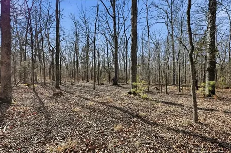 Lot B 1600 Mt. Willing Road Efland NC 27243