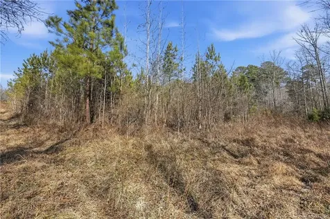 Lot B 1600 Mt. Willing Road Efland NC 27243