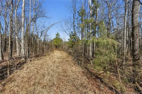 Lot A 1600 Mt. Willing Road Efland NC 27243