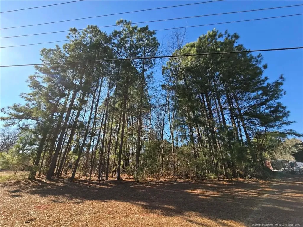 4026 Nursery Road Spring Lake NC 28390