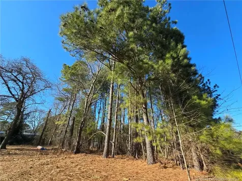 4026 Nursery Road Spring Lake NC 28390