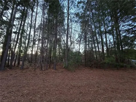 4026 Nursery Road Spring Lake NC 28390