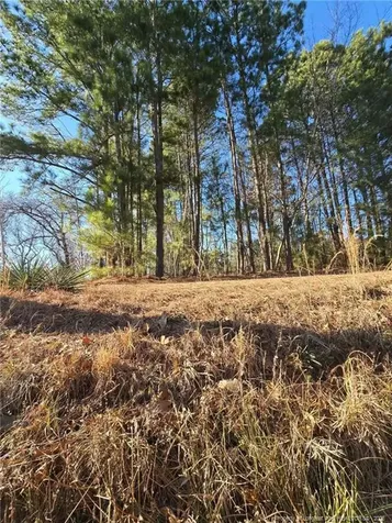 4026 Nursery Road Spring Lake NC 28390