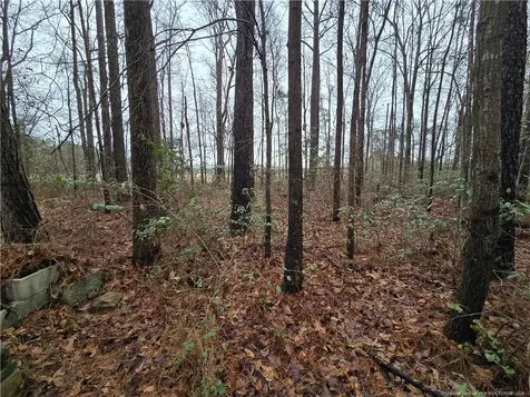 488 Green Street Parkton NC 28371