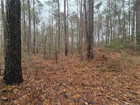 488 Green Street Parkton NC 28371