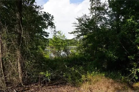 Lot 6 Lakeview Drive Red Springs NC 28377
