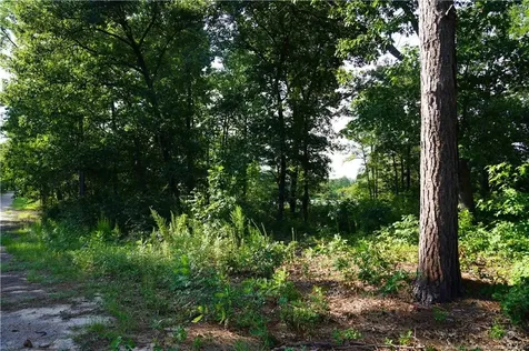 Lot 6 Lakeview Drive Red Springs NC 28377
