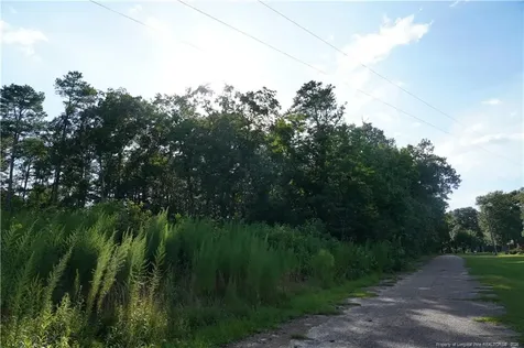 Lot 6 Lakeview Drive Red Springs NC 28377