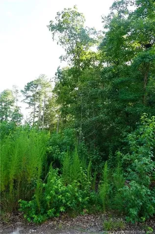 Lot 6 Lakeview Drive Red Springs NC 28377