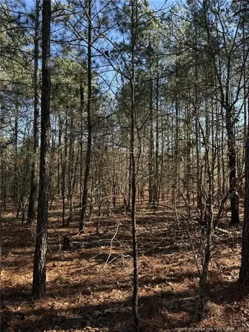 257 Lakeview Lane Cameron NC 28326