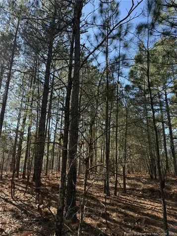 257 Lakeview Lane Cameron NC 28326