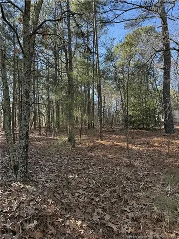 257 Lakeview Lane Cameron NC 28326
