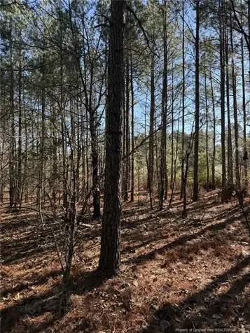 257 Lakeview Lane Cameron NC 28326