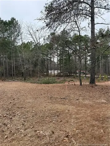 108 Richfield Court Vass NC 28394