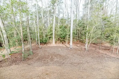 1138 Beaver Branch Sanford NC 27332