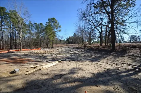 302 D L Phillips (lot 1) Lane Broadway NC 27505