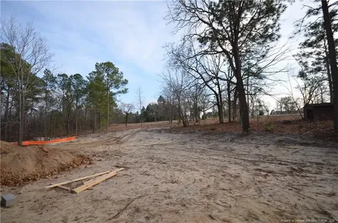 302 D L Phillips (lot 1) Lane Broadway NC 27505