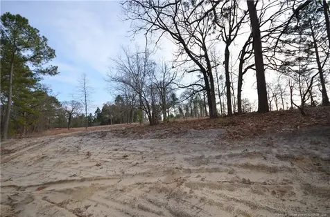 302 D L Phillips (lot 1) Lane Broadway NC 27505
