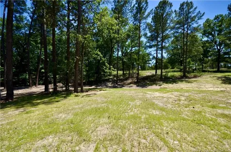 324 D L Phillips (lot 2) Lane Broadway NC 27505