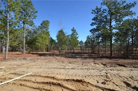 270 D L Phillips (lot 4) Lane Broadway NC 27505