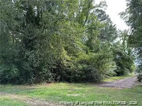 Peach Street Rowland NC 28383