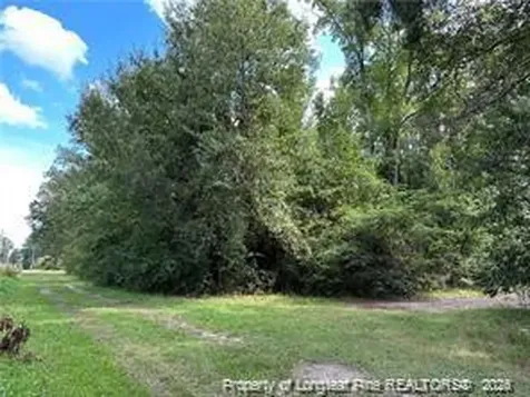 Peach Street Rowland NC 28383