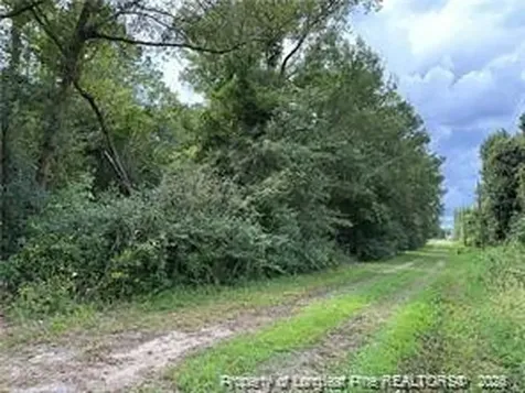 Peach Street Rowland NC 28383