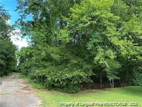Peach Street Rowland NC 28383