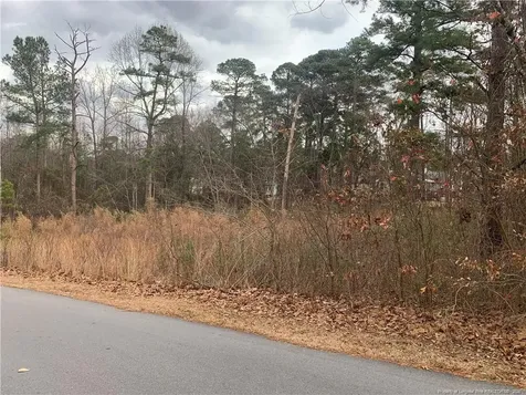0 Brookridge Drive Cameron NC 28326