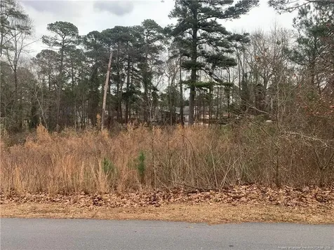 0 Brookridge Drive Cameron NC 28326