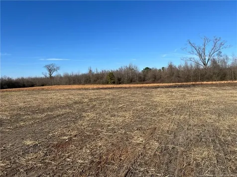 4025 Blue Springs Road Red Springs NC 28377