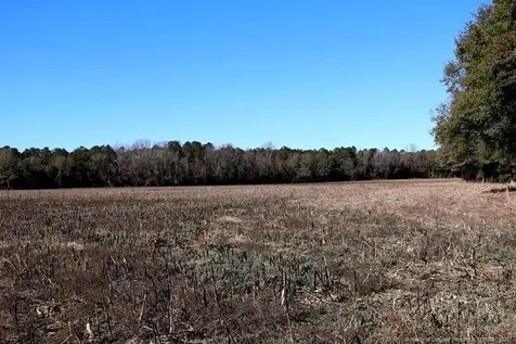 Tbd Stuarts Mill Road Fairmont NC 28340
