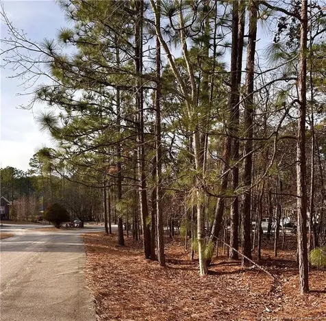 36 Magnolia Court Sanford NC 27332