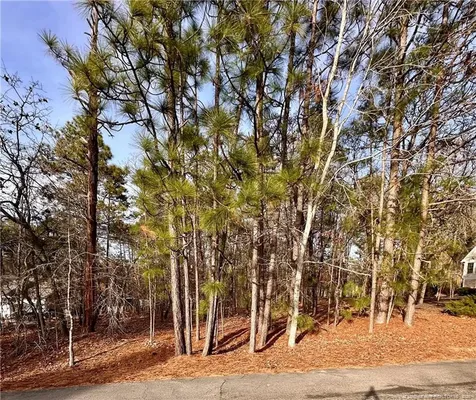 36 Magnolia Court Sanford NC 27332
