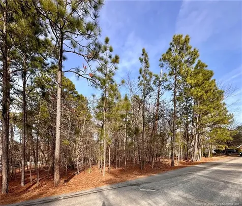 36 Magnolia Court Sanford NC 27332
