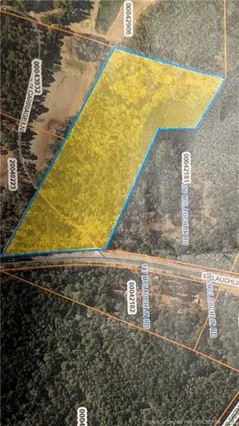 Tbd Mclauchlin Road Cameron NC 28326