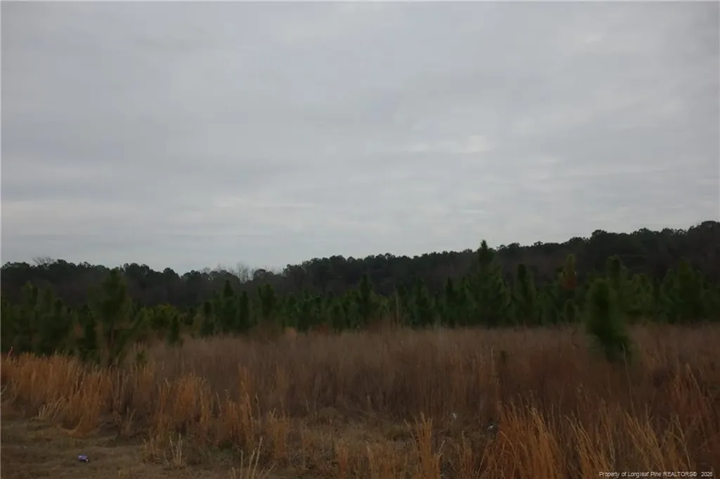 Lot 34 Stuarts Mill Road Fairmont NC 28340