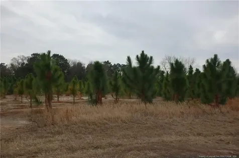 Lot 37 Stuarts Mill Road Fairmont NC 28340