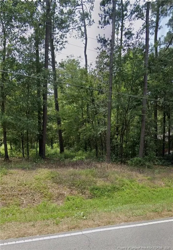 Tbd Blues Farm (lot 2) Road Laurinburg NC 28352
