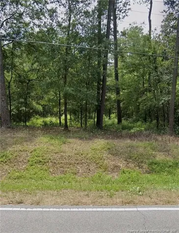 Tbd Blues Farm (lot 2) Road Laurinburg NC 28352