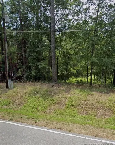 Tbd Blues Farm (lot 2) Road Laurinburg NC 28352