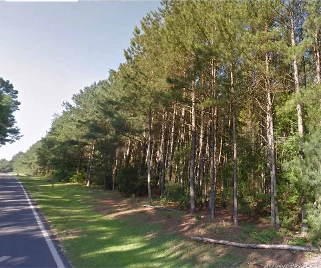 Tbd Bostic (lot 13) Road Laurinburg NC 28352