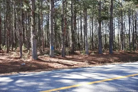 Nc Highway 130 Highway Fairmont NC 28340