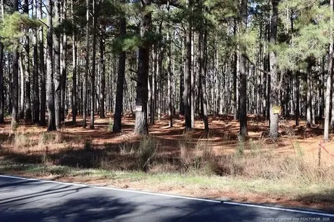 Stuarts Mill Road Fairmont NC 28340