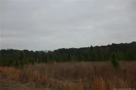 Lot 44 Stuarts Mill Road Fairmont NC 28340