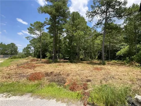233 Clearview Court Sanford NC 27332
