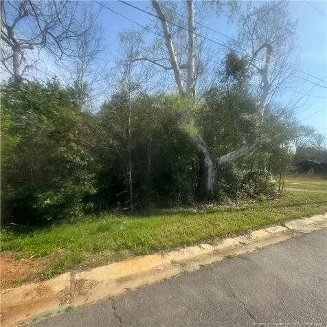 228 Gulf Street Laurinburg NC 28352