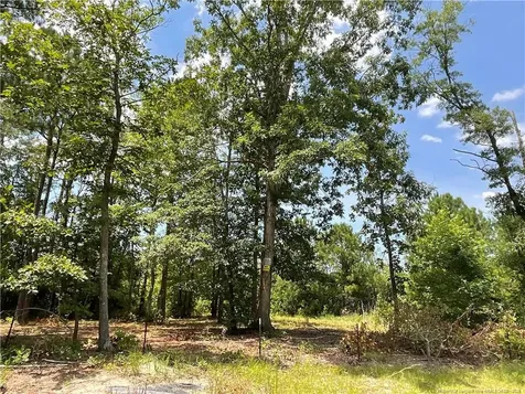 226 Clearview Court Sanford NC 27332